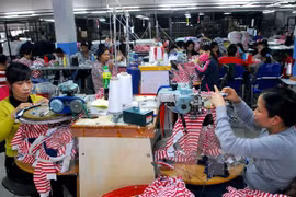 Llaman en Vietnam a inversión europea en zonas industriales