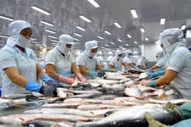 Nuevo reglamento para exportadoras de bagres de Vietnam a EE.UU.