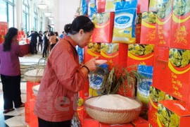 Busca sector arrocero de Vietnam penetrar en 2016 en mercados de altos requisitos