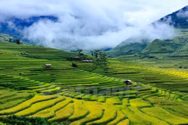 Inauguran Semana cultural de terrazas de Mu Cang Chai