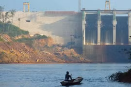 Vidas silvestres en subregión de Mekong enfrentan riesgos de disminución