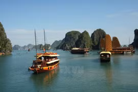 Vietnam busca reconocimiento de zona Ha Long - Cat Ba como patrimonio de humanidad