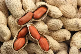 Vietnam suspende la importación de cacahuates de Sudán y Hong Kong