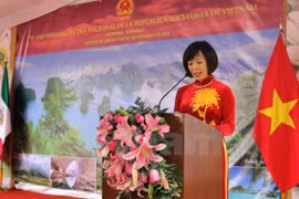 Diversas actividades en ultramar para conmemorar Fiesta Nacional de Vietnam