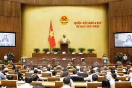 Electores vietnamitas ponen sus expectativas en las actividades del parlamento