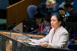 Vietnam resalta el asunto del Mar del Este en reunión de estados miembros de UNCLOS