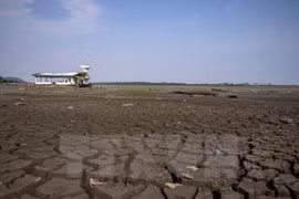 UE estudia ayudar a Vietnam en respuesta al cambio climático