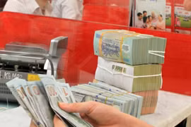 Banco Estatal publica tasa básica de cambio de divisas