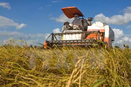 Debaten en Hanoi medidas para desarrollar sosteniblemente la agricultura