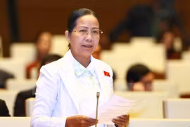 Diputados complacidos con desempeños del presidente y primer ministro