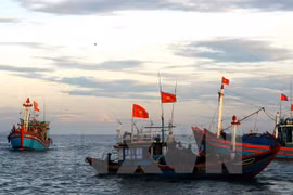 Vietnam impulsa mecanismo internacional para garantizar derechos de pescadores
