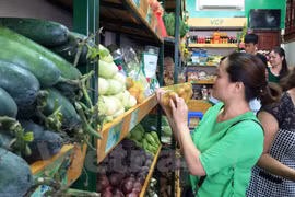 Presentan Unión de cooperativas de productos agrícolas seguros de Vietnam