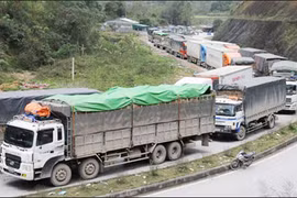 Provincia vietnamita promoverá intercambio comercial con China