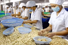 Vietnam se esfuerza por tener un millón de empresas en 2020