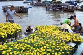 Seminario busca medidas para el desarrollo turístico del Delta de Mekong