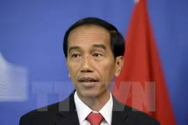 Indonesia llama a esfuerzos globales contra pesca ilegal