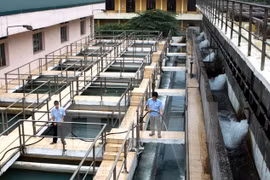 Vietnam y Japón cooperan en mejoramiento de calidad de agua