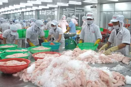Exportadores de pescados de Vietnam enfrentan dificultades en lograr meta anual