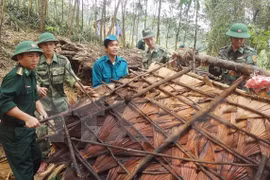 Vietnam realiza maniobra de respuesta a desastres