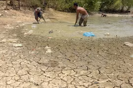 Más de dos millones de afectados por severa sequía en Camboya