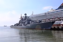 Visita ciudad vietnamita flota de buques de Marina rusa