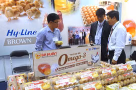 Celebrarán en Vietnam exhibición internacional de ganadería