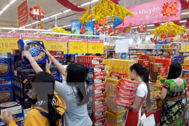 Rebajan previsión de desarrollo económico de Vietnam