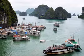 Vietnam posee ventajas para atraer a turistas de Australia y Nueva Zelanda