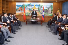 Presidente de Vietnam aboga por facilitar inversiones de Hanoi en Champasak