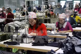 Empresas en Vietnam sólo disfrutan de 30 por ciento de beneficios de TLC