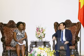 Vietnam necesita sugerencias del BM en equilibrio del presupuesto estatal