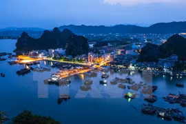 Provincia de Vietnam invita a empresas singapurenses invertir en territorio