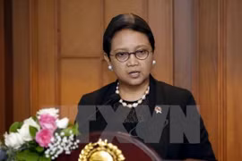 Indonesia reafirma apoyo al proceso de paz en Oriente Medio