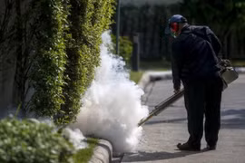 Tailandia tranquiliza a población tras confirmación del caso de Zika