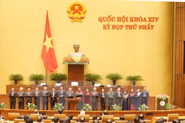 Presentan candidatos a organismos del Parlamento e inspección estatal de Vietnam