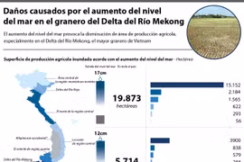 [Infografía] Daños causados por el aumento del nivel del mar en Vietnam
