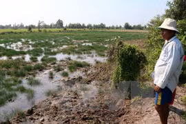 Provincia de Vietnam construye compuertas para luchar contra penetración salina