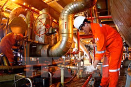 Grupo petrolero de Vietnam proyecta incrementar extracción de crudo