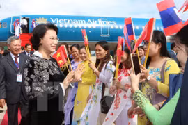 Vietnam y Laos enfatizan necesidad de cooperar en investigación teórico–práctica