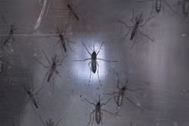 Indonesia orienta a sus ciudadanos evitar viajes a zonas infectadas por Zika