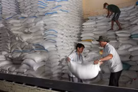Vietnam y Tailandia ganan subasta para exportar arroz a Filipinas