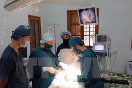Se aproxima exposición internacional de farmacia Vietnam 2016