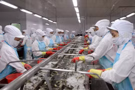 Vietnam y Estados Unidos firman acuerdo sobre tarifas antidumping en camarones