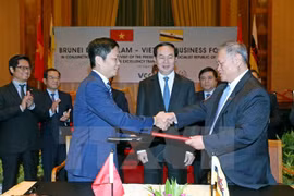 Vietnam y Brunei buscan medidas para intensificar la cooperación económica