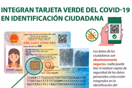 Integran tarjeta verde del COVID-19 en identificación ciudadana