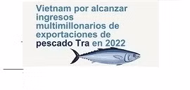 Vietnam por alcanzar ingresos multimillonarios de exportaciones de pescado Tra en 2022