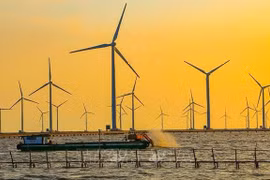 Vietnam aspira a desarrollar energía eólica marina