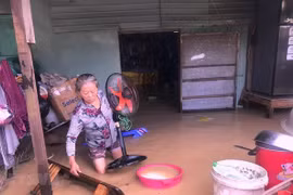 Fortalecen empoderamiento de mujeres vietnamitas en respuesta al cambio climático