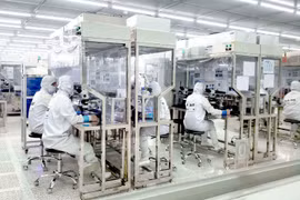 Inversiones vietnamitas en el exterior suman 646 millones de dólares