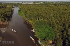 Pueblo flotante de Tan Lap, atractivo destino en provincia vietnamita de Long An